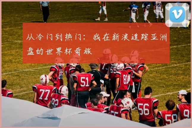 从冷门到热门：我在新浪追踪亚洲盘的世界杯奇旅