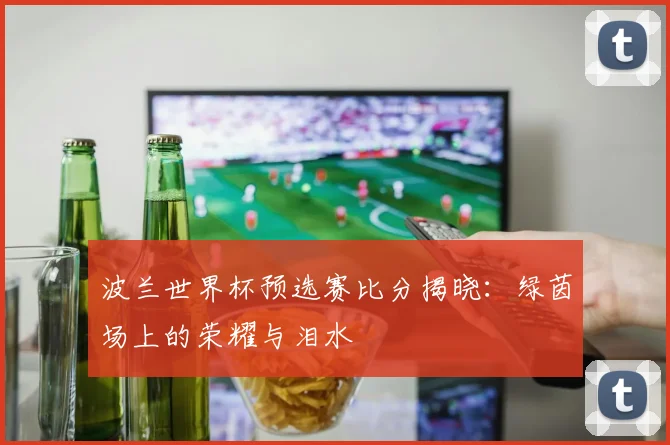 波兰世界杯预选赛比分揭晓：绿茵场上的荣耀与泪水