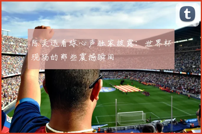 陈奕迅看球心声独家披露：世界杯现场的那些震撼瞬间